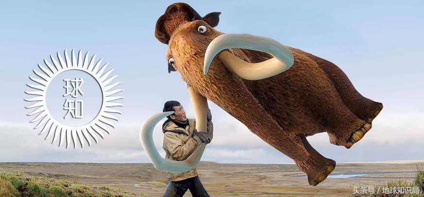 人类是如何吃光猛犸象的？地球知识局