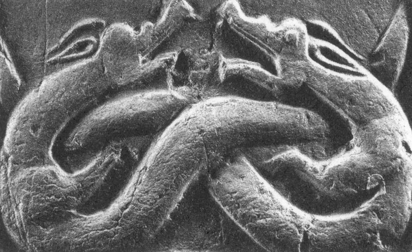 双头龙和成双配对