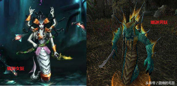 魔兽世界：娜迦族——曾经高贵的上层精灵