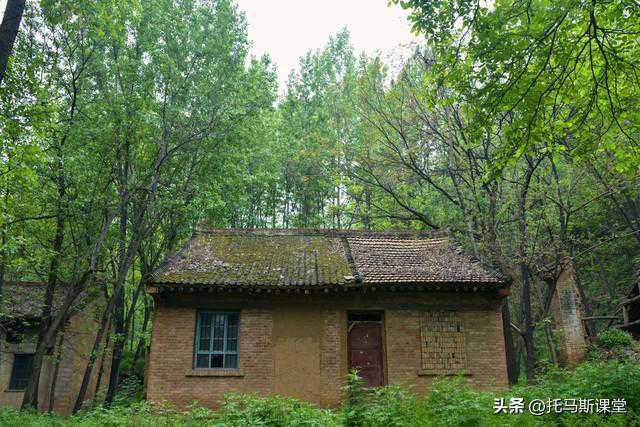 农村俗语：大树压门，家无后人，是什么意思？