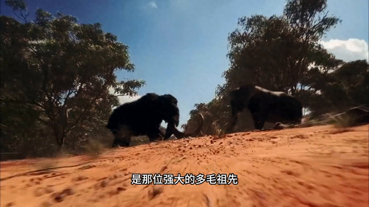 巨兽对决：当6.3吨的大象遇上古老猛犸，胜者是谁？