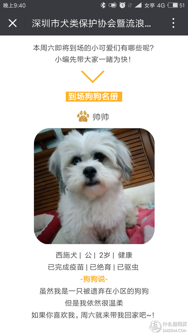 用领养代替购买—懂事狗狗卡卡西