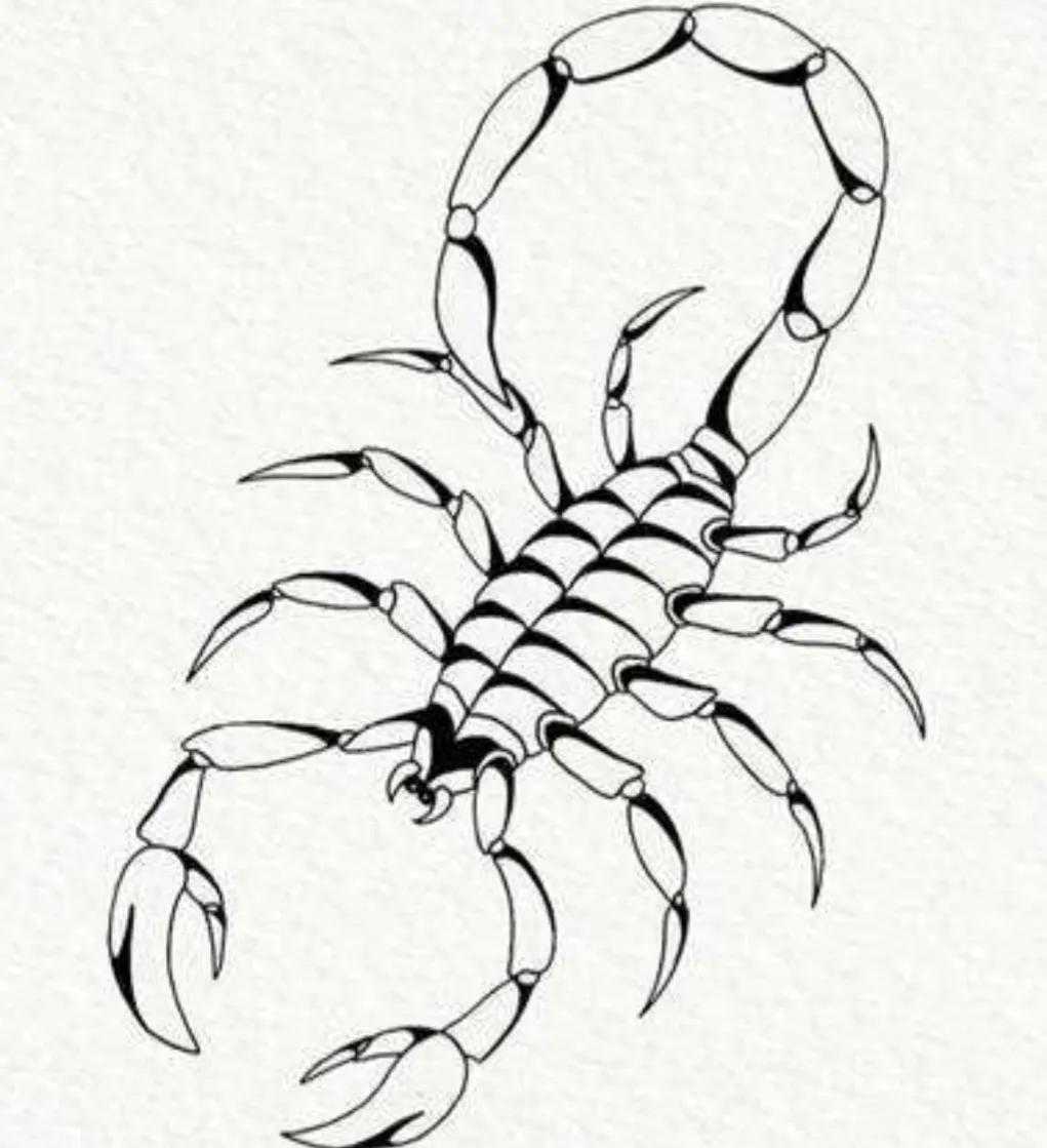 真事：大批蝎子涌入辽宁村庄蛰人，附近村庄却没事，专家查出原因