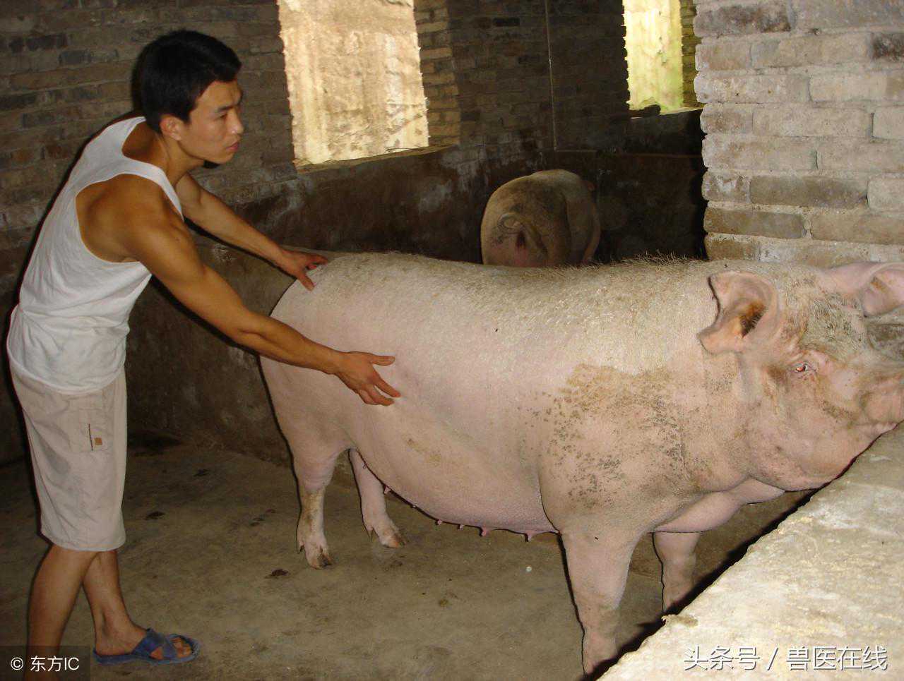 绝地求生SLi2：4AM获第三季直邀！玩家：留给韦神的死法不多了