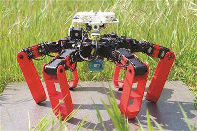 没有GPS和地图靠什么导航？“机器蚂蚁”利用阳光就能回家