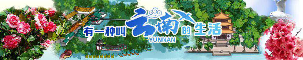 从“有一种叫云南的生活”出圈看文旅新机